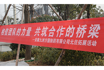 “相信团队的力量，共筑合作的桥梁