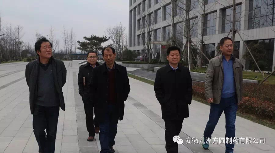 市药监局彭殿伟、市政府副秘书长张磊到厂调研我公司配方颗粒准备工作